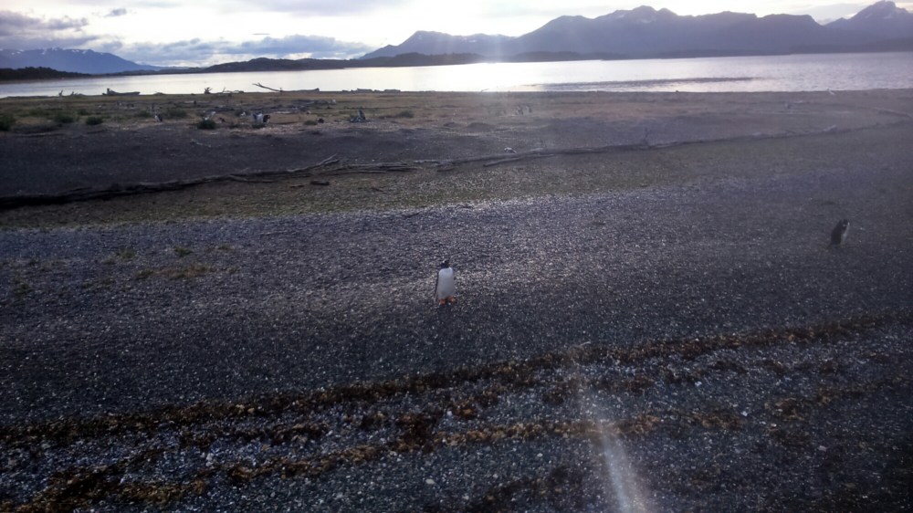 DSC_0211_1.JPG image