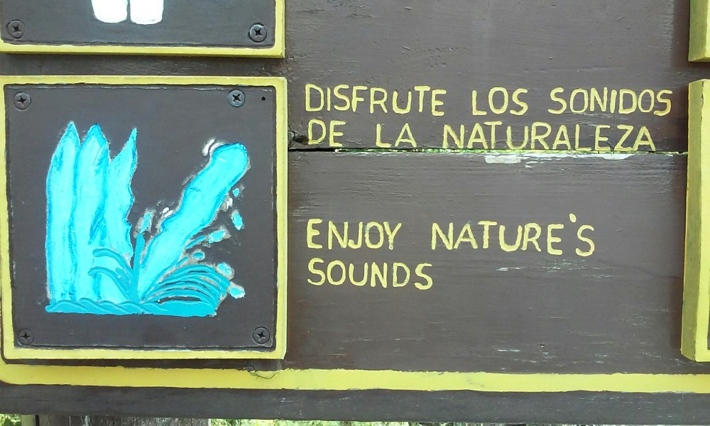 wp-1458343753707 image