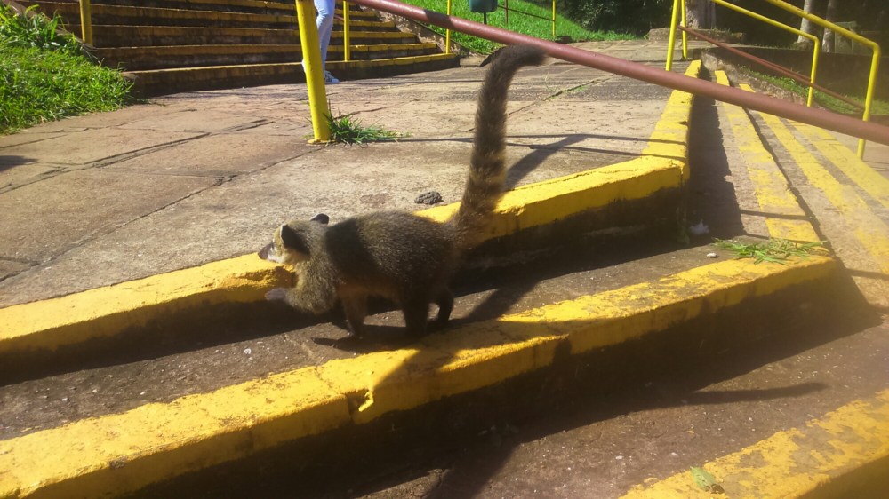 DSC_0011_17.JPG image