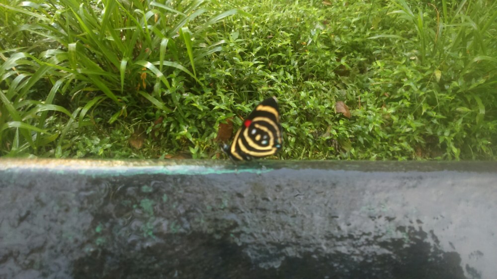 DSC_0023_13.JPG image