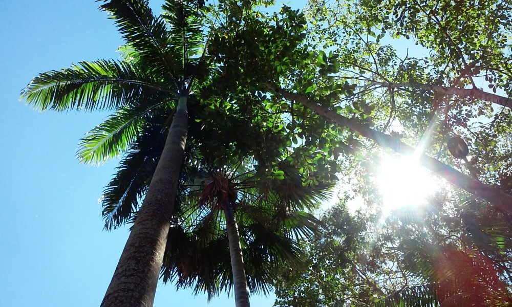 20160501_103704.jpg image