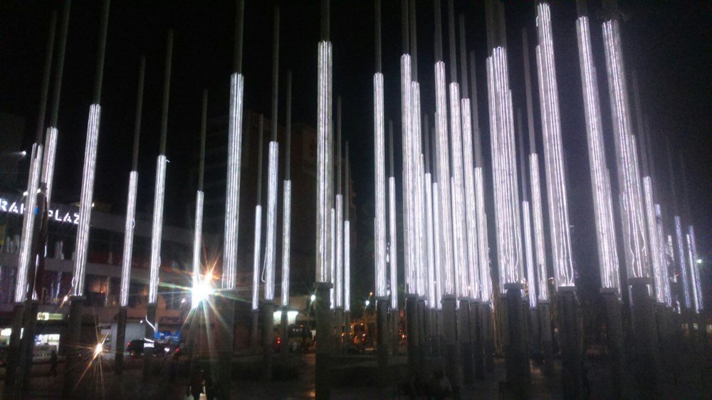 DSC_0001_41.JPG image